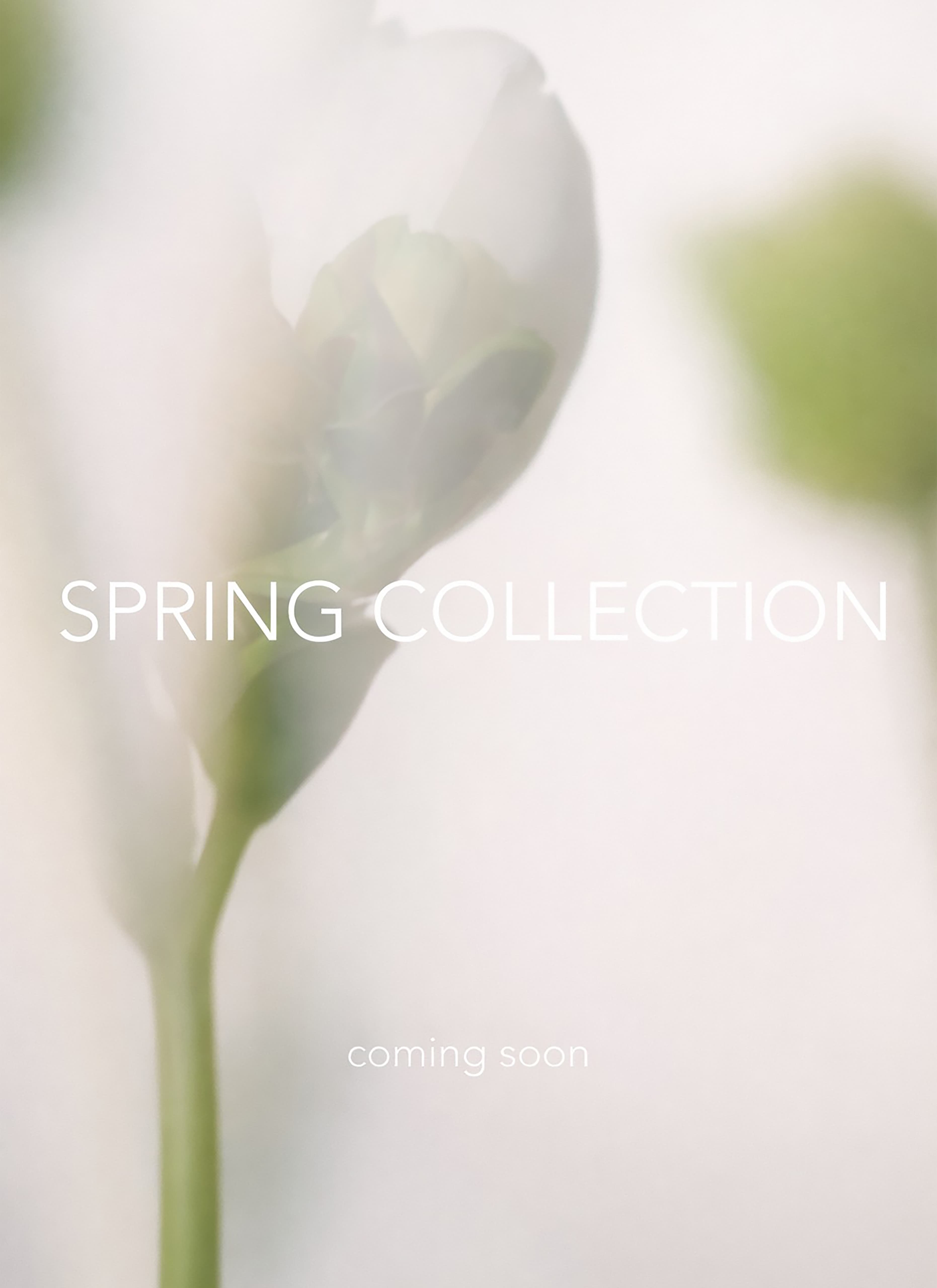 Spring collection